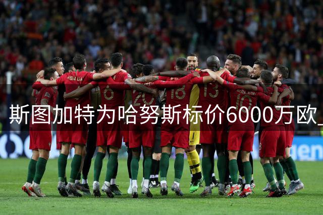 斯图加特为哈努斯标价6000万欧 英超热身赛或将成转会契机